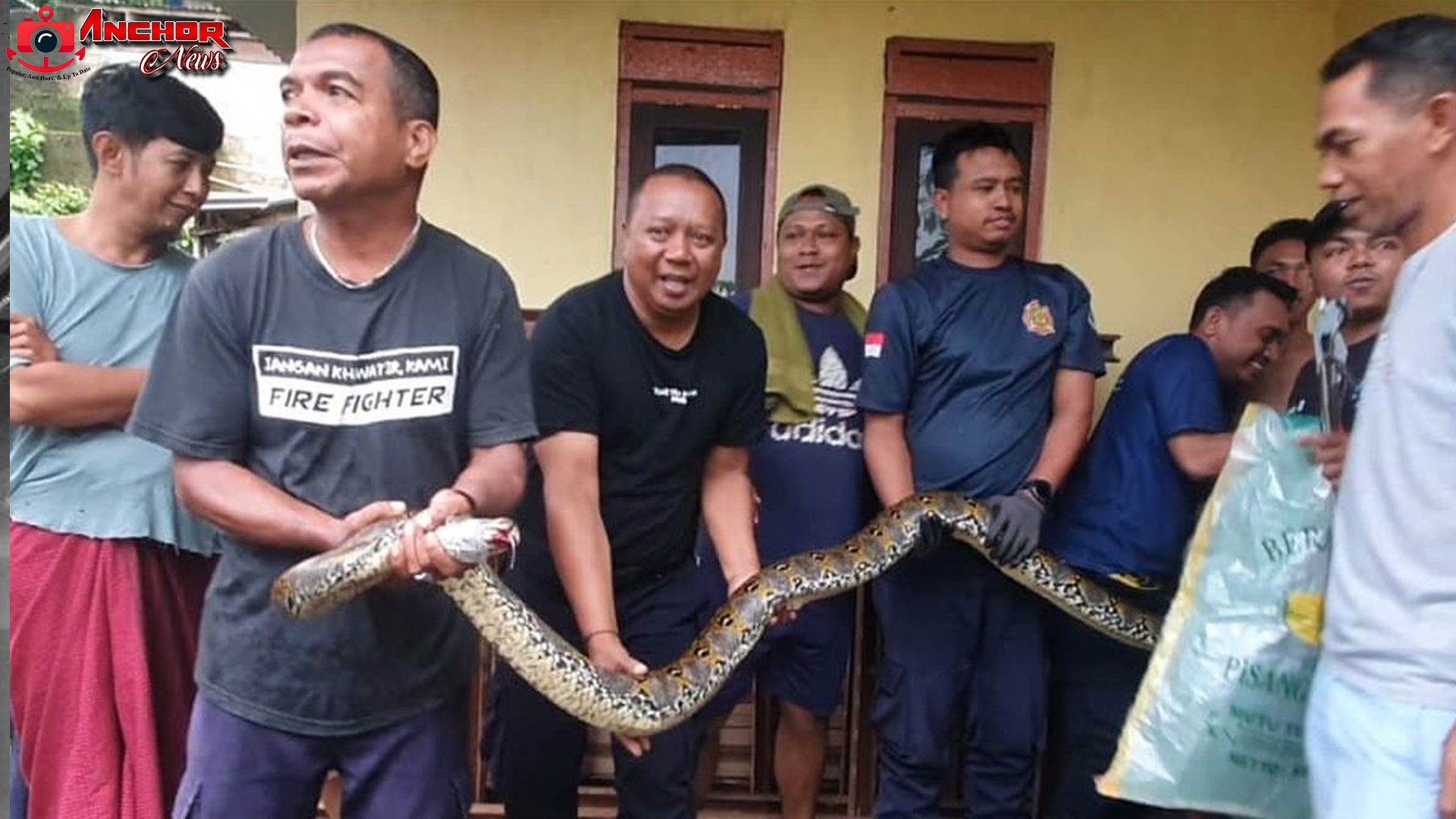 Damkar Sigap dan Cepat Amankan Ular Piton 5 Meter di Ambon