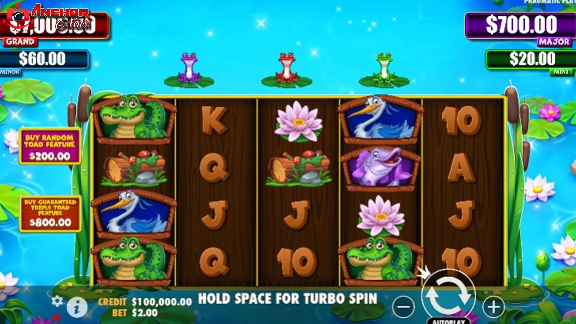 Selami Dunia Tiny Toads 2025, Si Mungil yang Penuh Ajaib