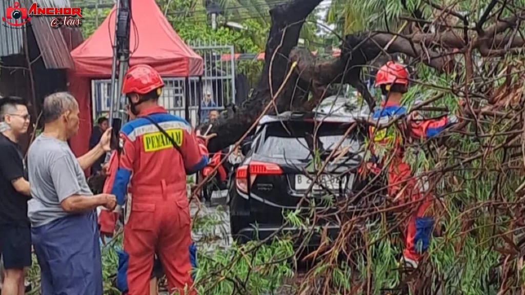 Angin Super Kencang Terjang 17 Rumah Rusak Ciawi Pohon Tumbang Mobil