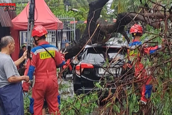 Angin Super Kencang Terjang 17 Rumah Rusak Ciawi Pohon Tumbang Mobil